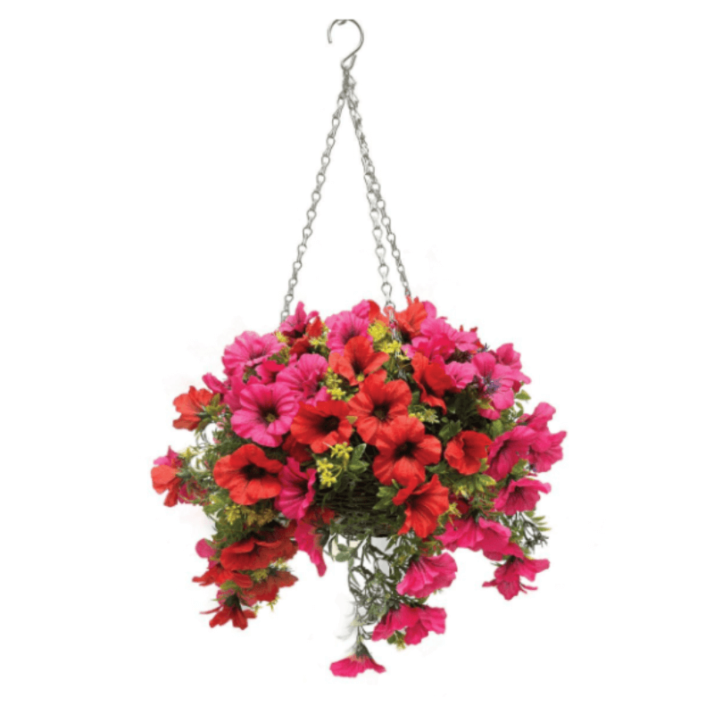 Pansy and Daisy Hanging Basket 30cm