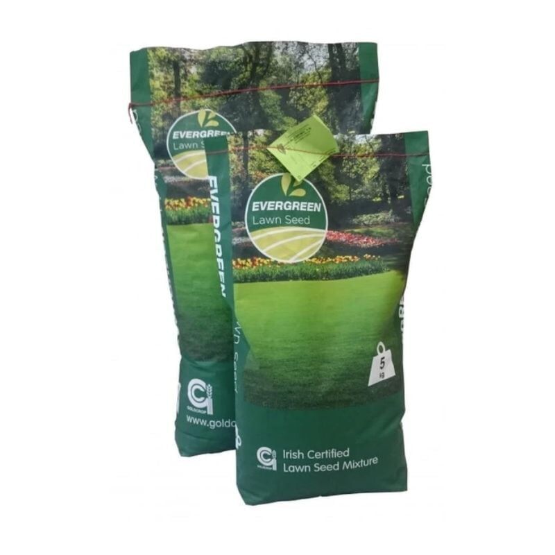 Lawn Seed Evergreen No2 10kg