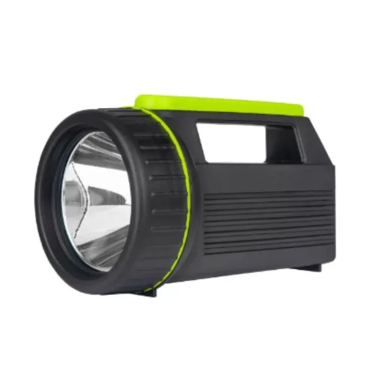 Rechargeable Torch with Power Bank