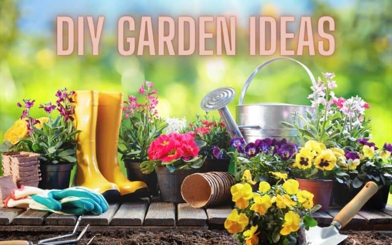 DIY GARDEN IDEAS